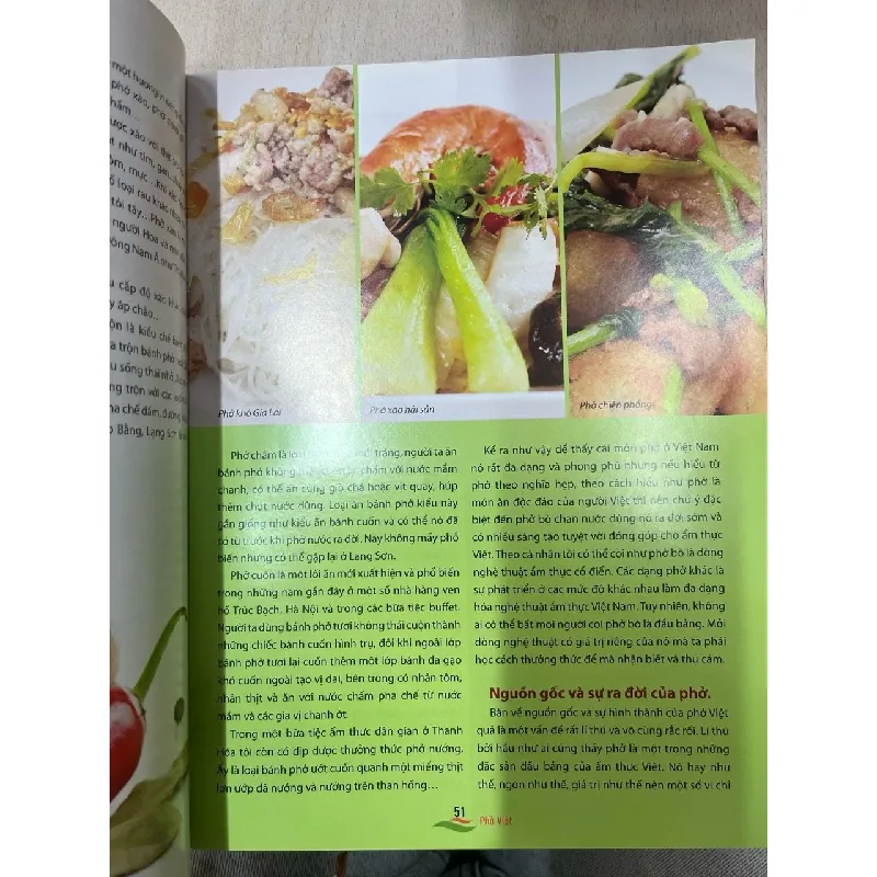 Phở Việt - TS. Nguyễn Nhã 697416