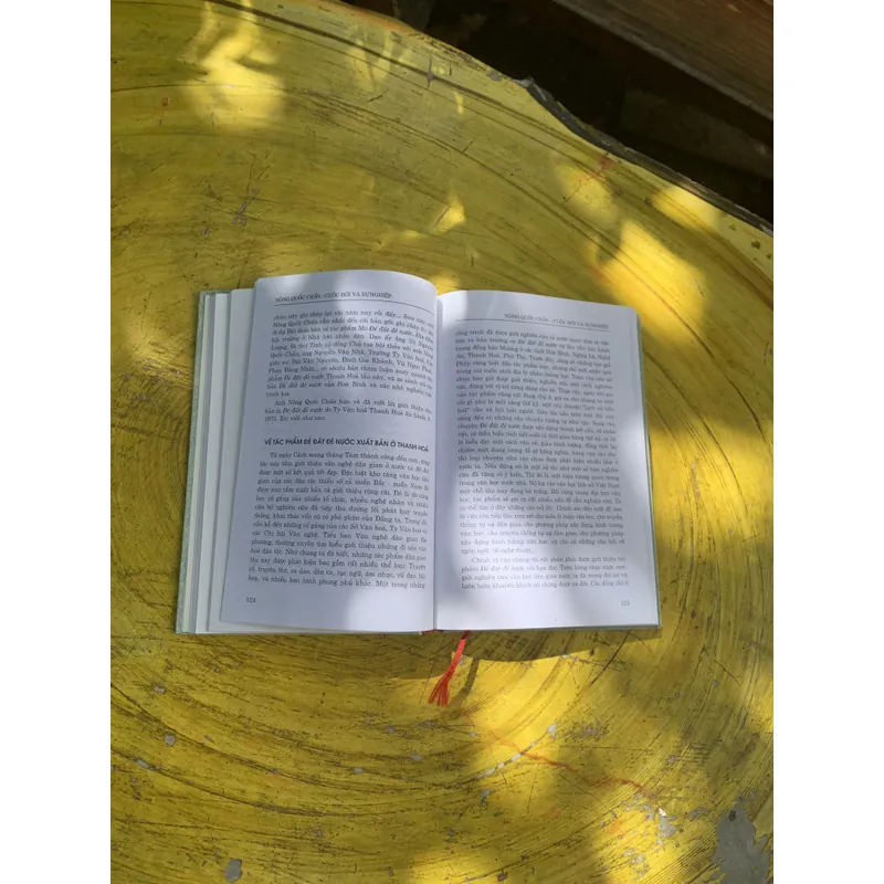 NÔNG QUỐC CHẤN - CUỘC ĐỜI VÀ SỰ NGHIỆP 738362