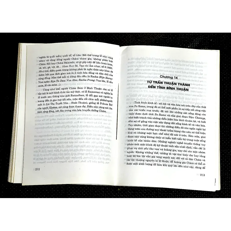 LỊCH SỬ VƯƠNG QUỐC CHAMPA 999304