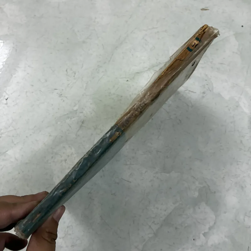 Tiếng việt 10 - 1991s 1005541