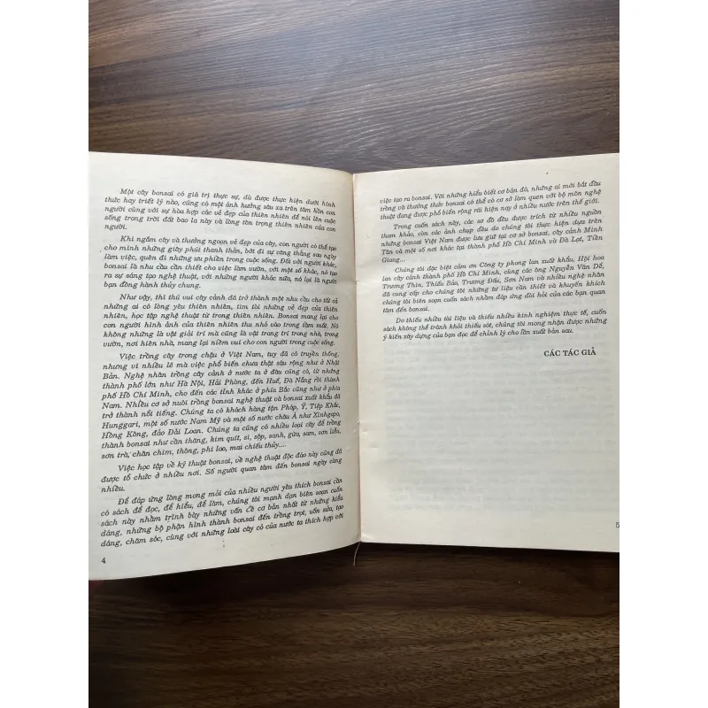 Bonsai 🌿🌿 961565