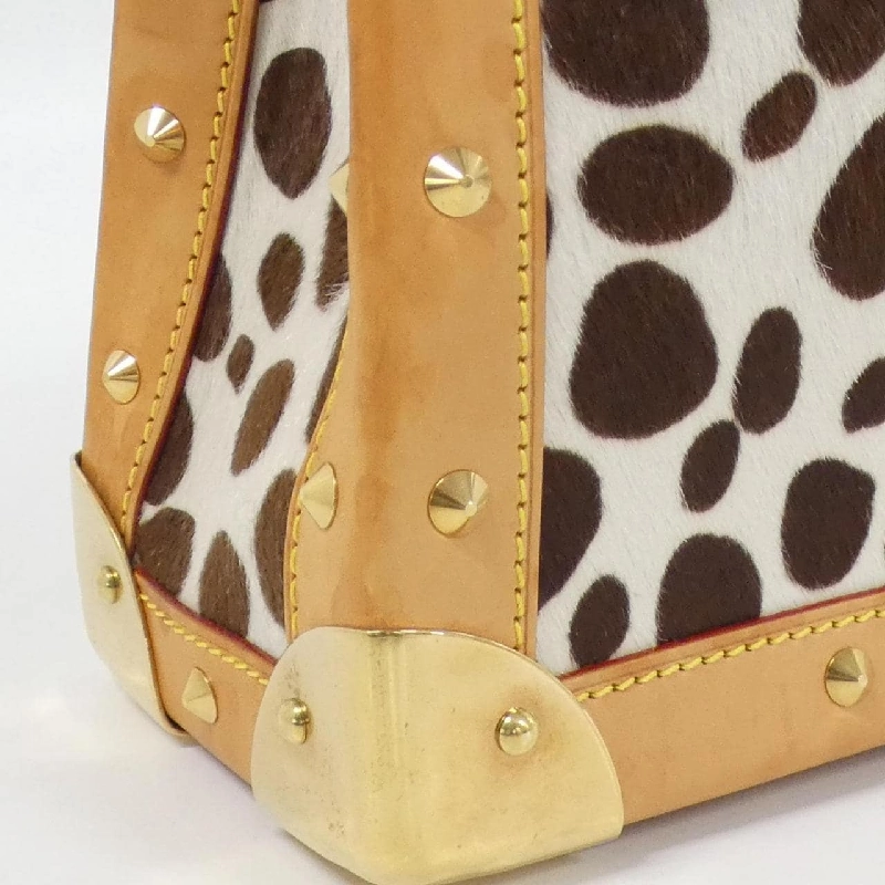 Túi xách vai Louis Vuitton Monogram Dalmatian M92825 - Hàng hiệu Chính hãng 776629