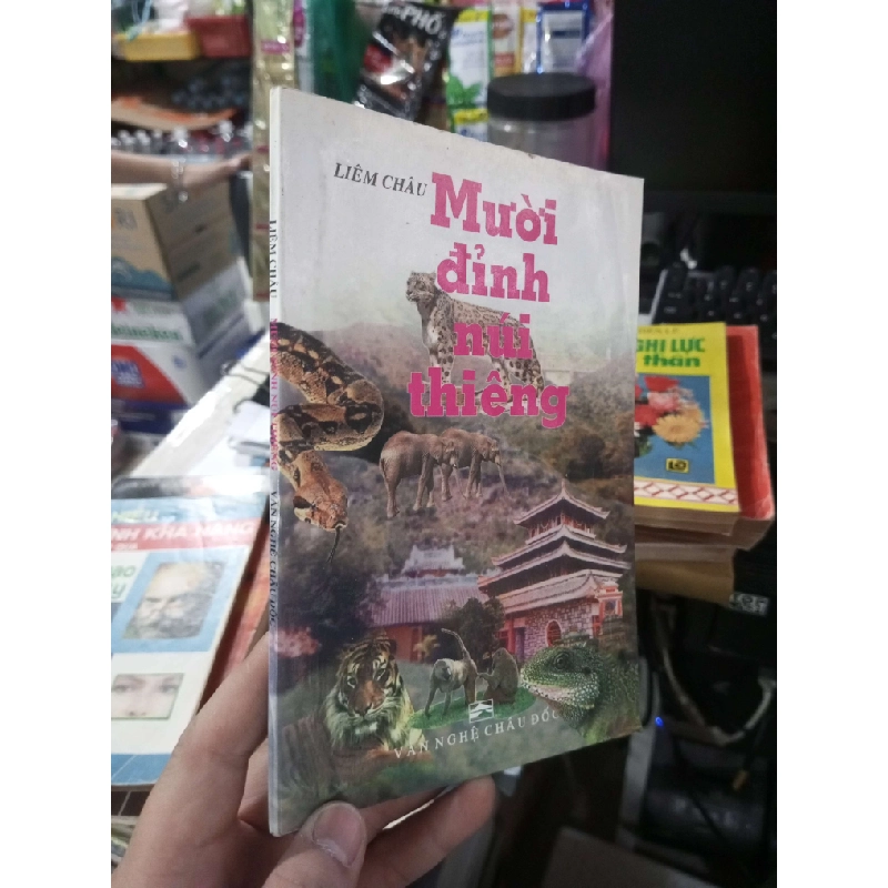 Mười Đỉnh Núi Thiêng - Liêm Châu 2002 mới 80% ố (Sách văn học) HCM1304 1011561