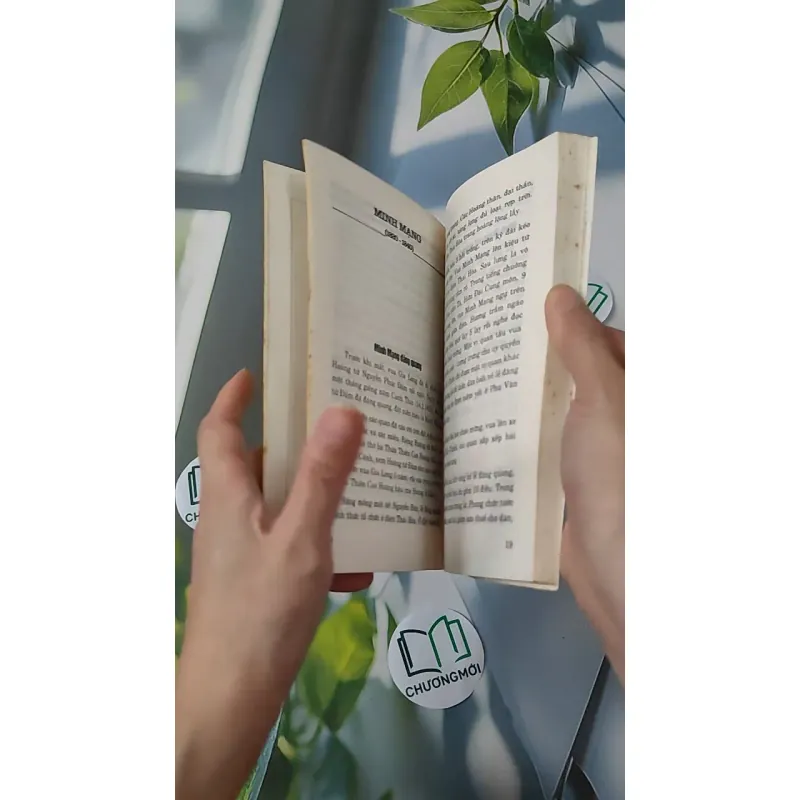 Kể Chuyện Các Đời Vua Nhà Nguyễn - Nguyễn Viết Kế 970249