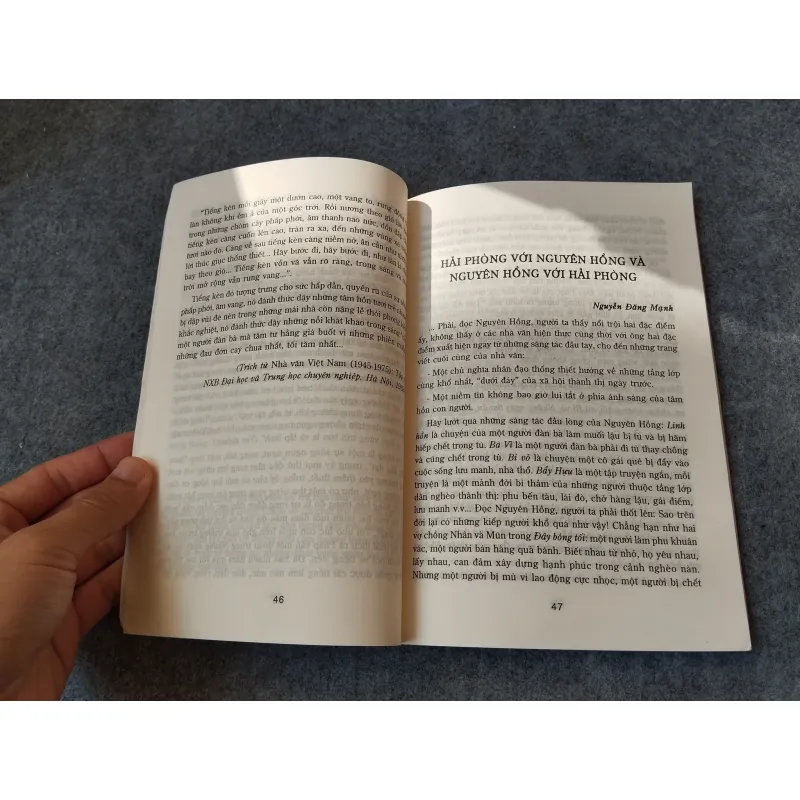 NGUYÊN HỒNG KHỔ ĐAU VÀ SÁNG TẠO 719974