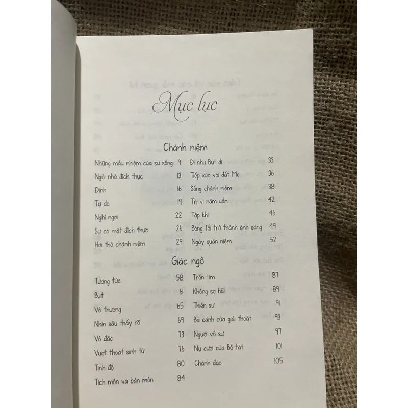  Hạnh phúc cầm tay-  THÍCH NHẤT HẠNH Chân Hội Nghiêm chuyển ngữ  711872