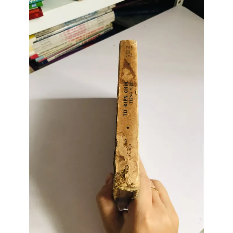 1. 📘 TỪ ĐIỂN CHÍNH TẢ TIẾNG VIỆT 603470