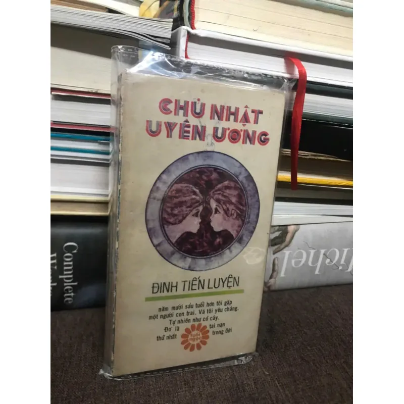 CHỦ NHẬT UYÊN ƯƠNG - ĐINH TIẾN LUYỆN 599003