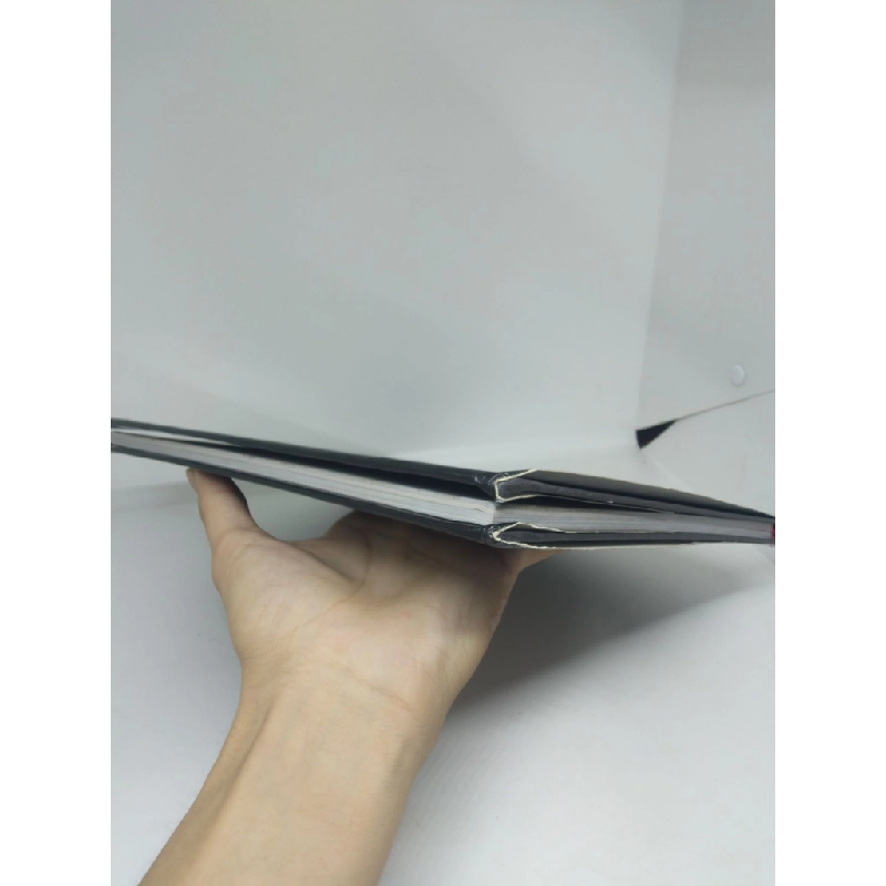 Chân dung nghệ thuật Võ Nguyên Giáp 2013 Tạ Đức mới 85% bìa cứng  HCM2711 340109