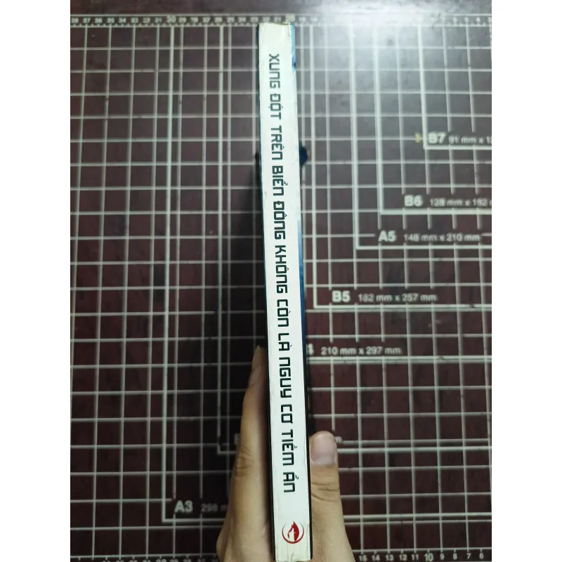 Xung đột trên biển Đông không còn là nguy cơ tiềm ẩn - Nhiều tác giả 731143