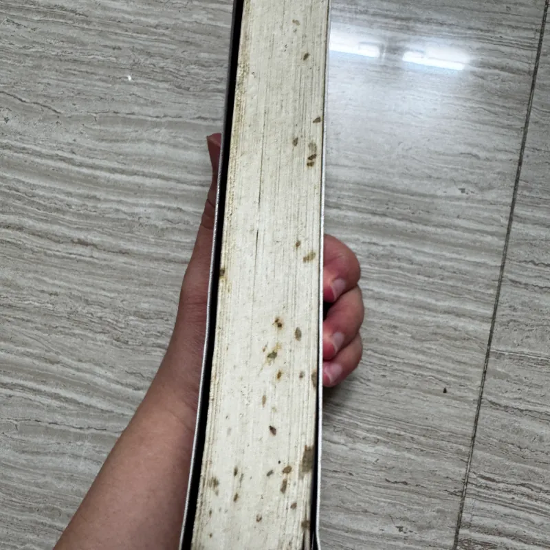 Mọi điều ta chưa nói - Marc LeVy 1010527