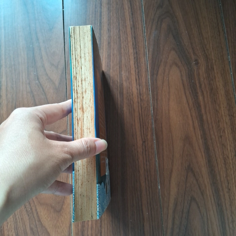 Tiếng hát người cá 502243