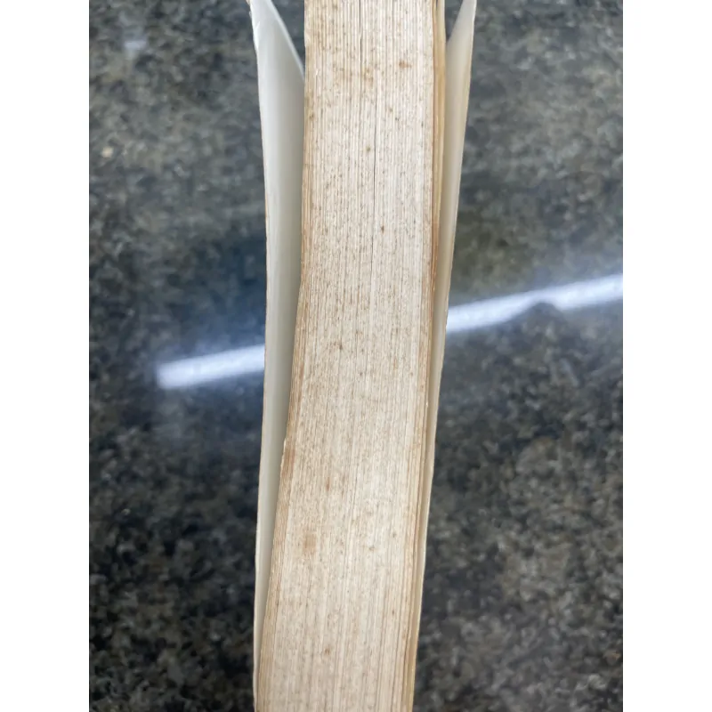 Không gia đình Hector Malot XB 2001 762286