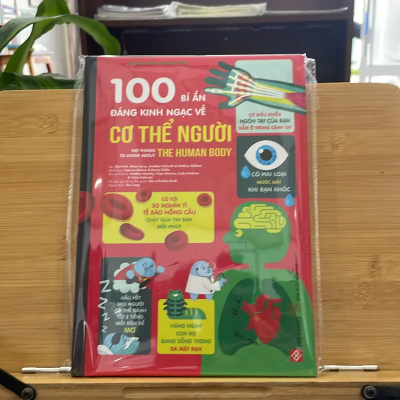 100 Bí ẩn Đáng kinh ngạc về cơ thể người 734542