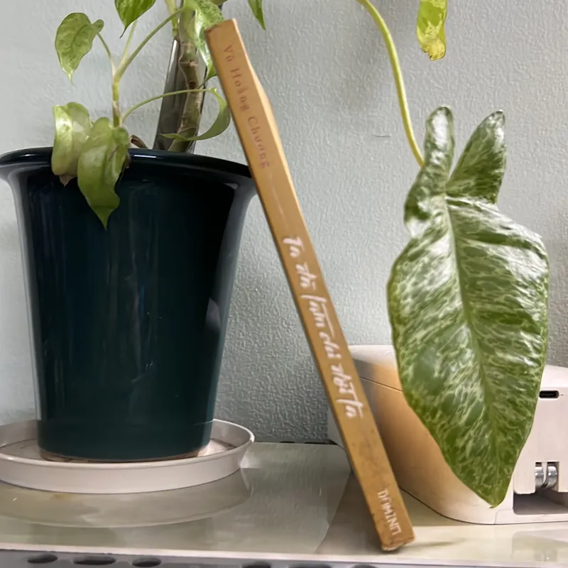 Ta đã làm chi đời ta - Vũ Hoàng Chương [90->35] 736353