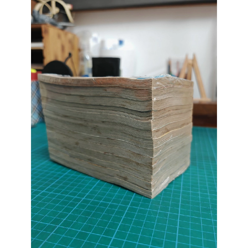 TRUYỆN TRANH Rockman Chiến Binh Thế Giới Ảo - Takamisaki Ryo 143058