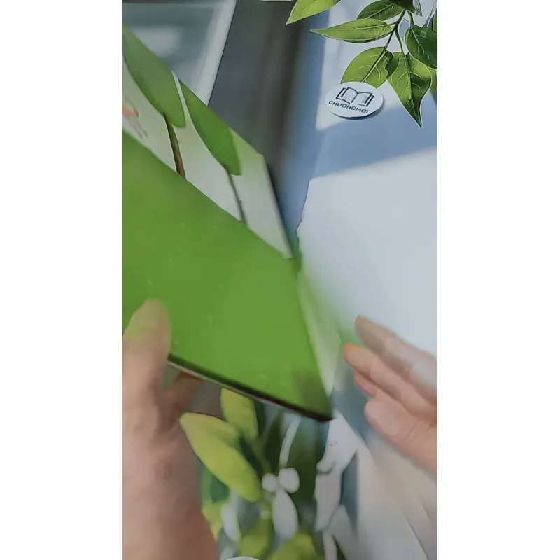 [Tặng nẹp góc] Truyện thiếu nhi Hàn Quốc: Moyamo Anu 52 -  모야모 아누와: 잘 떠벌리는 마누라 732055