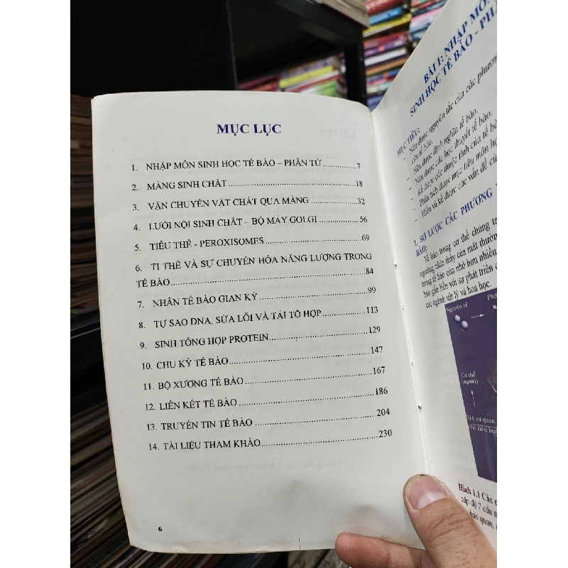 Sinh học tế bào - PGS.TS Trần Công Toại, ThS. Huỳnh Duy Thảo 129912