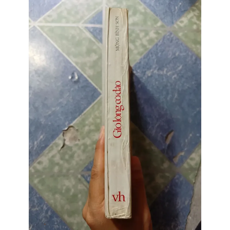 Gió lộng cờ đào ( Cờ nghĩa Tây Sơn) - Mộng Bình Sơn 974078