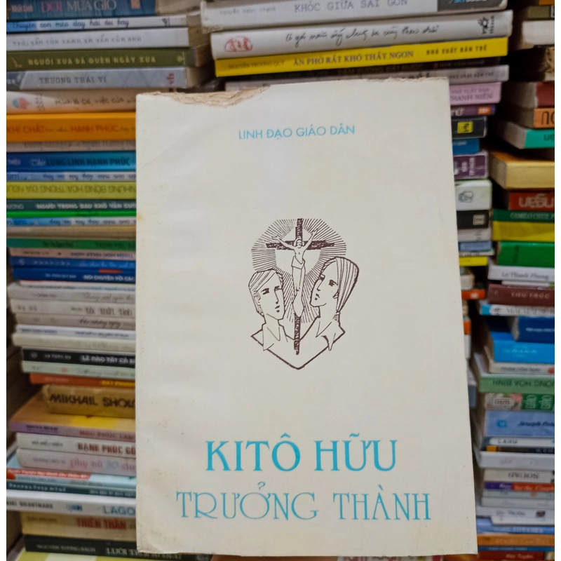 Kitô Hữu trưởng thành 🌻 523742