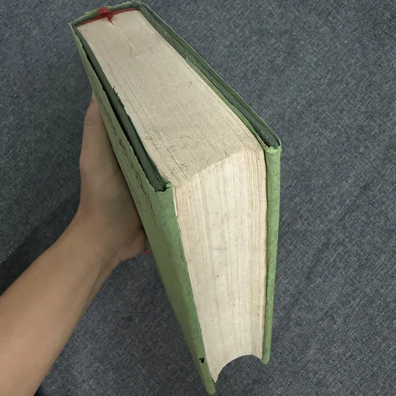 Lũ người quỷ ám - Fyodor Dostoevsky 753622