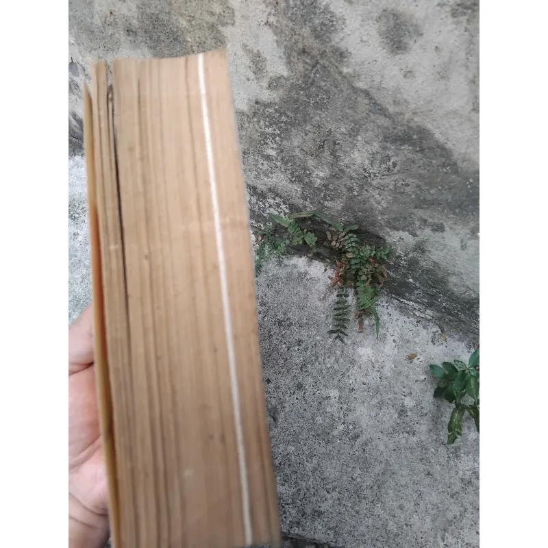 Từ tòa Bạch Ốc đến dinh Độc Lập của Nguyễn Tiến Hưng  1030432