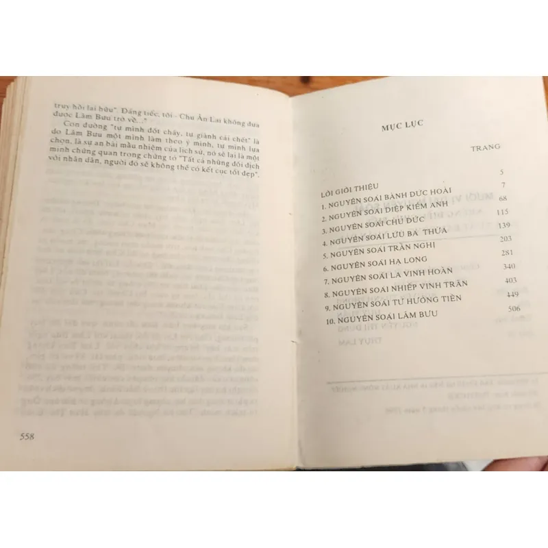 MƯỜI VỊ ĐẠI NGUYÊN SOÁI 702627