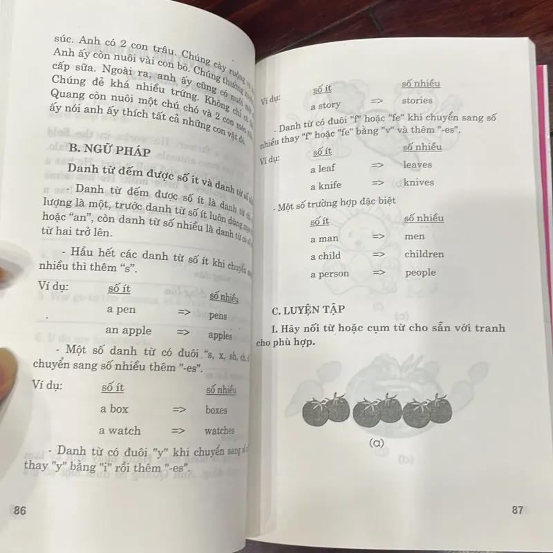 Hướng dẫn tự học ngữ pháp tiếng anh bằng hình minh hoạ kèm đĩa cd  - thanh mai  1034686