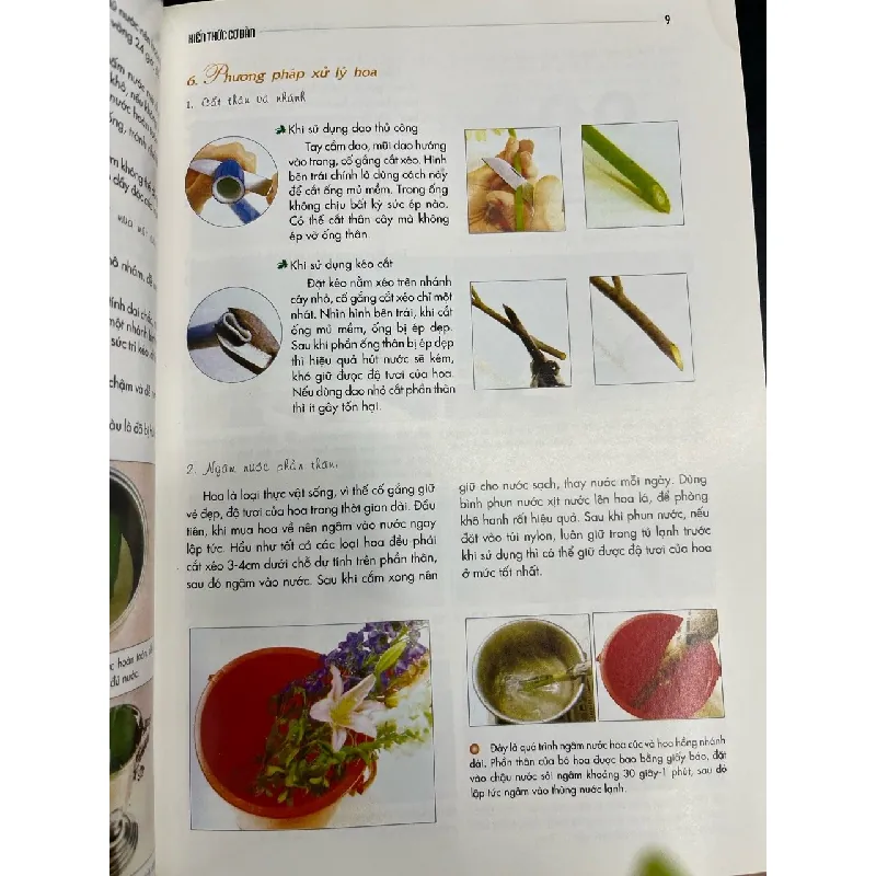 Nghệ thuật cắm hoa gia đình và lễ hội - Lĩnh Uyên Biên, Trịnh Trọng Đỗ 711782