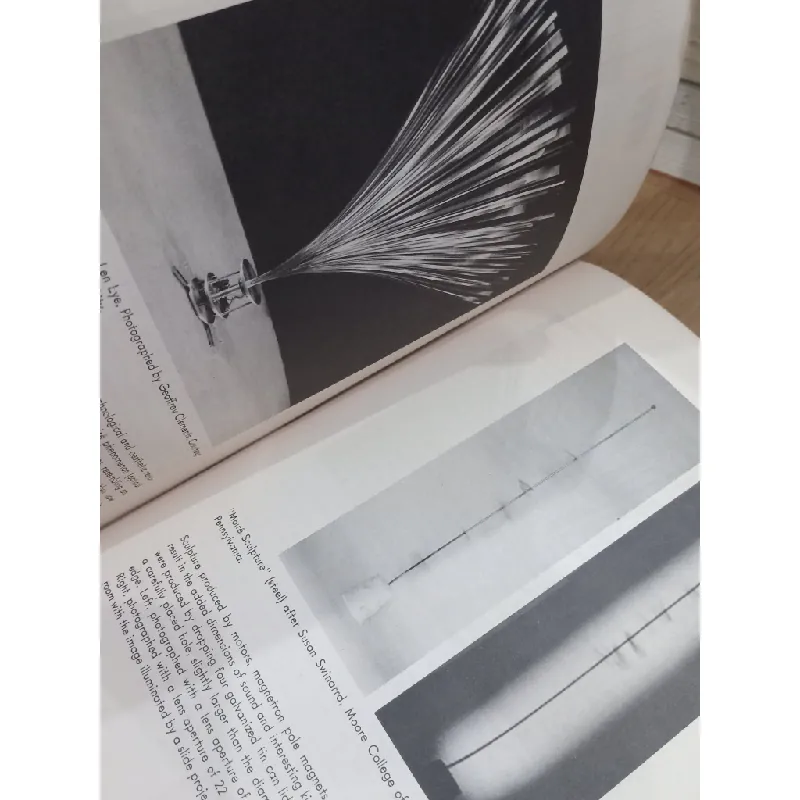 Sculpture and Ideas - Michael F. Andrews 695534