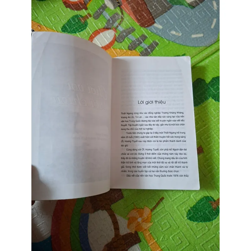 Chơi Vơi Trời Chiều 789862