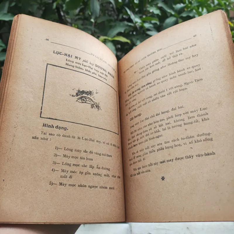 Tướng Pháp Áo Bí 928912