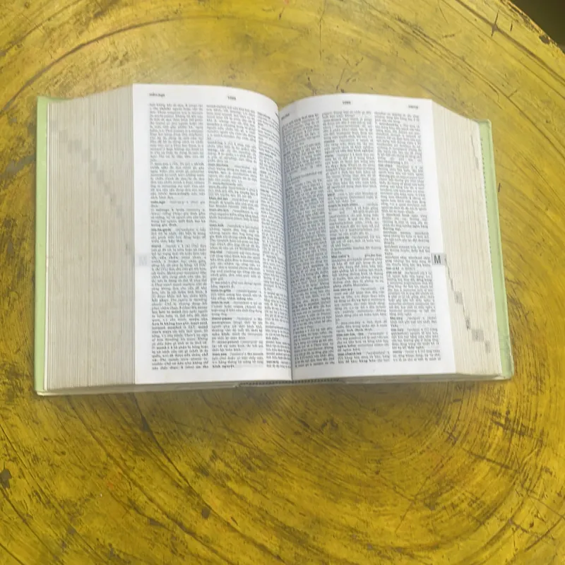 TỪ ĐIỂN ANH - VIỆT - ENGLISH- VIETNAMESE DICTIONARY  699413