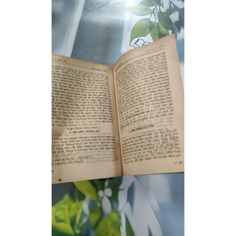 [XƯA] Tâm Lý Bạn Gái (1995) - Hoàng Xuân Việt 776058