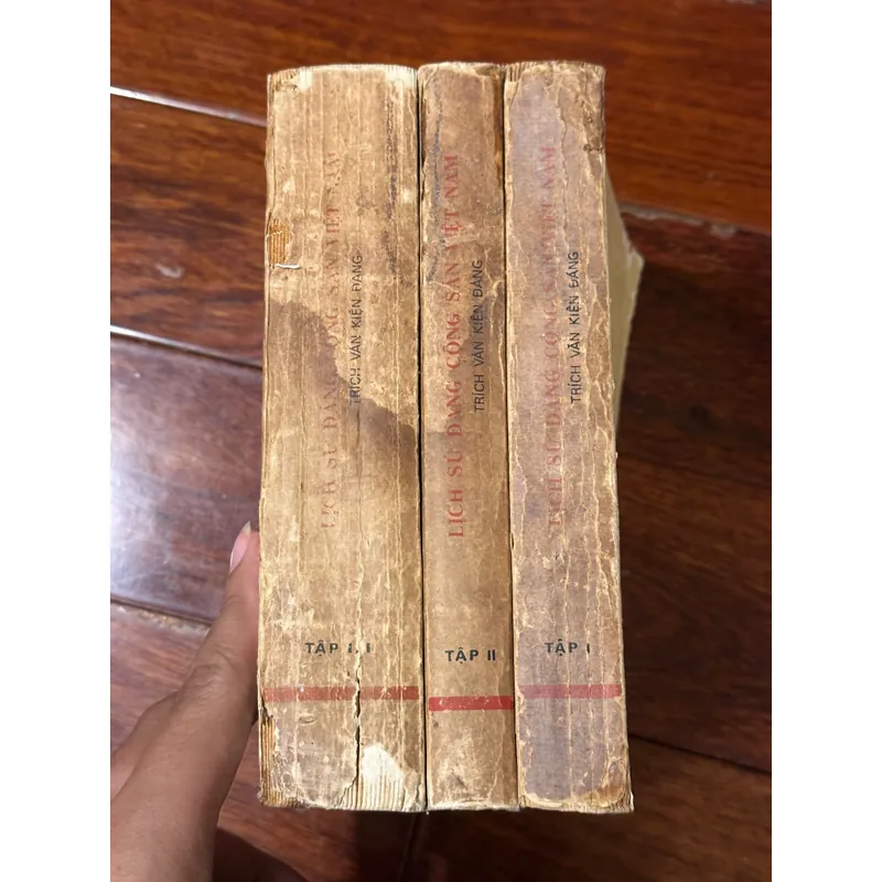 Lịch sử đảng Cộng sản Việt Nam (Trọn bộ) 557582