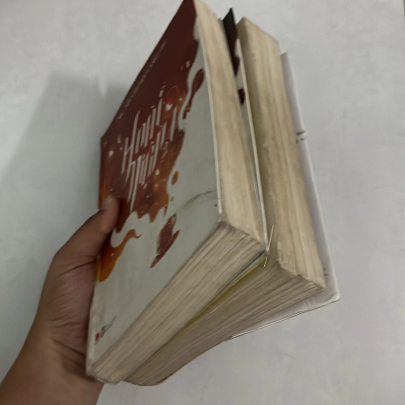 Hoài Niệm — Sói xám mọc cánh (Trọn bộ 2 tập) 501060