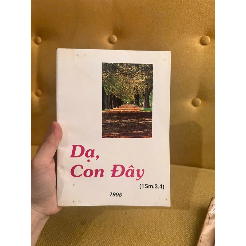 Dạ, con đây 477368