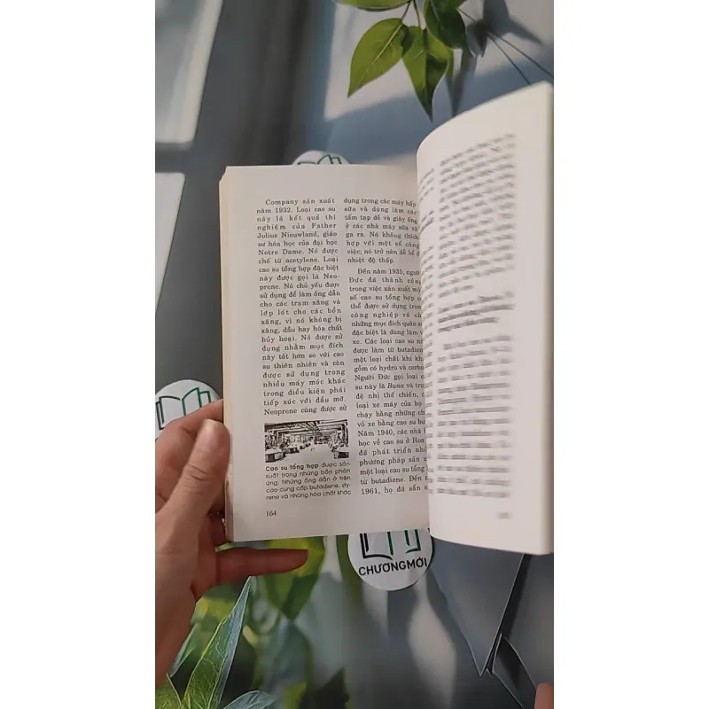 Tri Thức Thế Giới: Hai Trận Thế Chiến - Lưu Văn Hy 970234