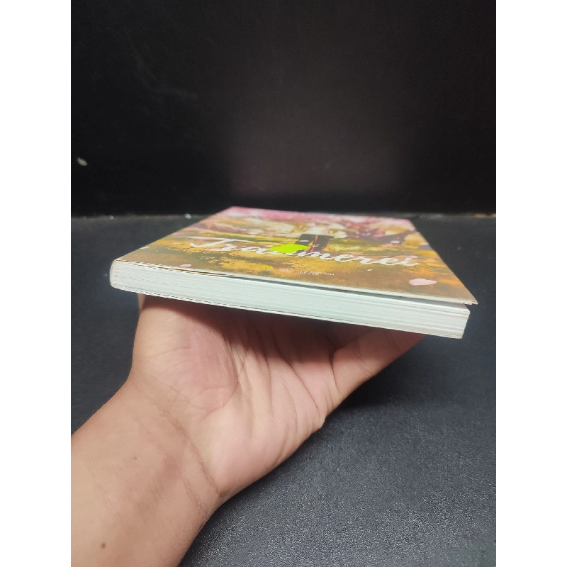 Traumerei Saki Murayama mới 90% (bẩn nhẹ) 2021 HCM1604 văn học 913979