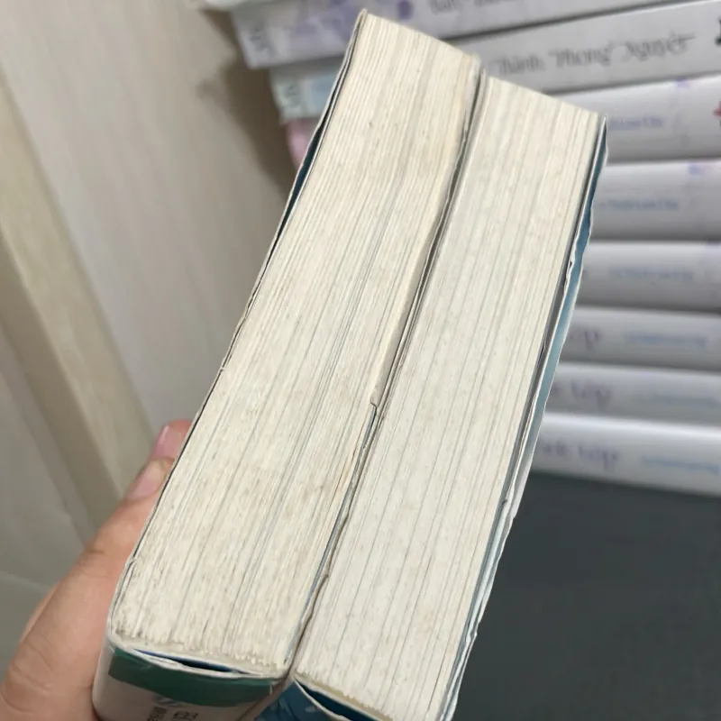 (light novel) - Sword Art Online ( tập 1 + 2 ) - Reki Kawahara 1000620