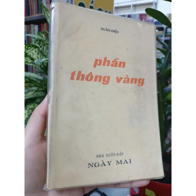 PHẤN THÔNG VÀNG - XUÂN DIỆU 936539