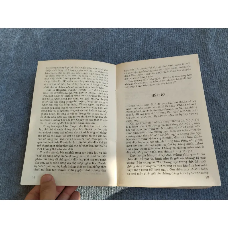 NGỰA THÁI - W.DIEHL 574308