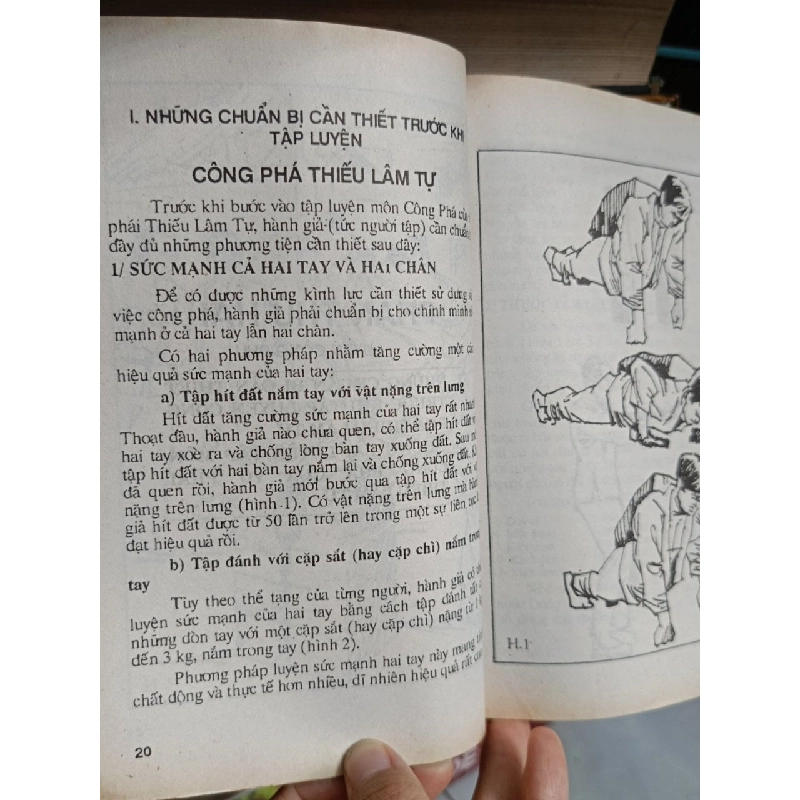 Tự luyện công phá Thiếu Lâm Tự - Võ sư Từ Thiện, Hồ Tường 1020616