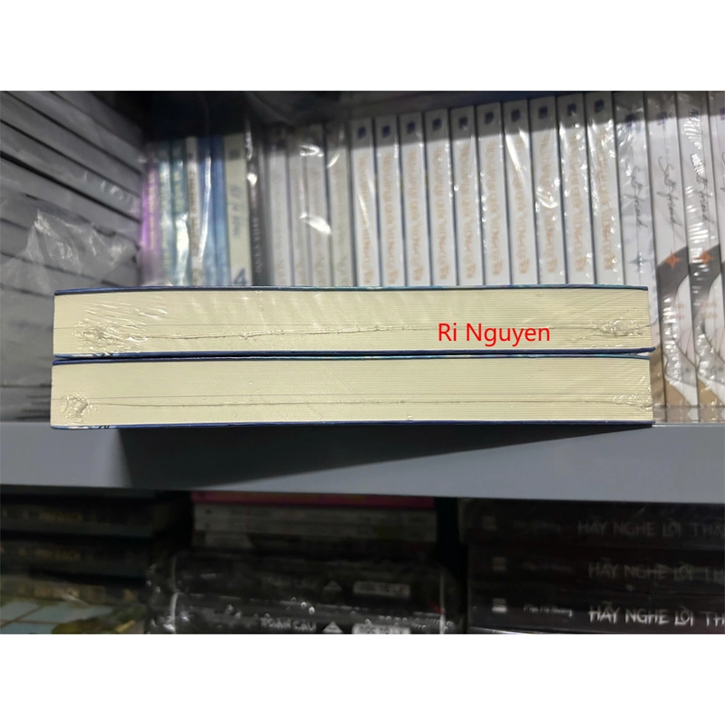 Cây Nấm Nhỏ 1 - Bản Thường 298953