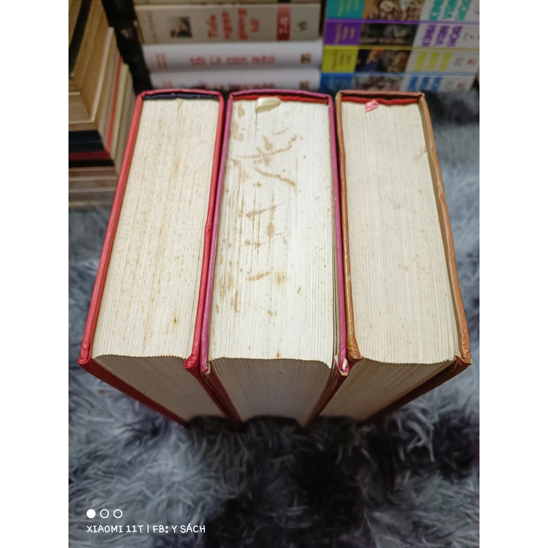Mưu lược gia tinh tuyển  460558