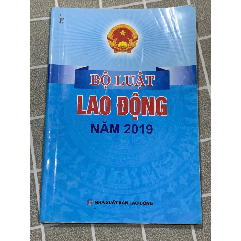 BỘ LUẬT LAO ĐỘNG NĂM 2019 - SÁCH LUẬT VIỆT NAM 545916