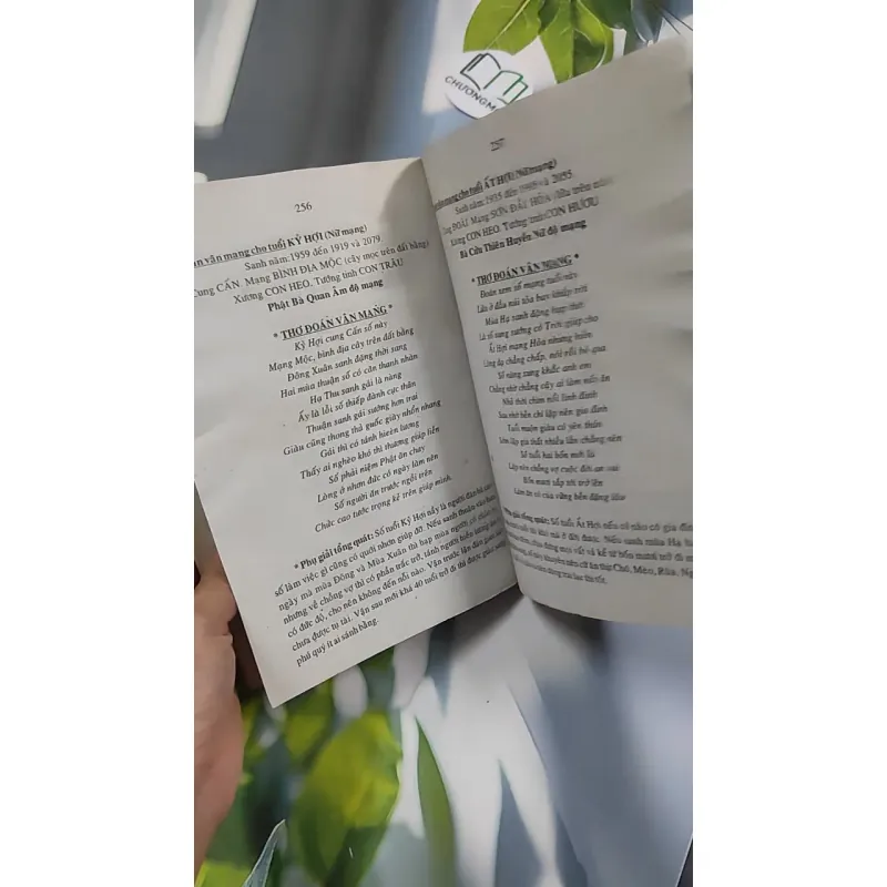 Tử Vi Tướng Pháp 776182