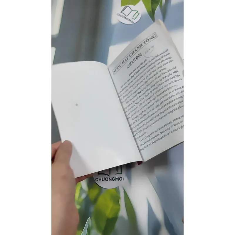 Ngọc Hạp Chánh Tông - Viên Tài - Hà Tấn Phát 776198