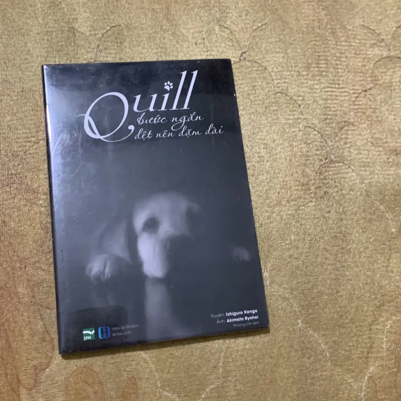 COMBO ĐẢO GẤU VÀNG & QUILL BƯỚC NGẮN DỆT NÊN DẶM DÀI 748565