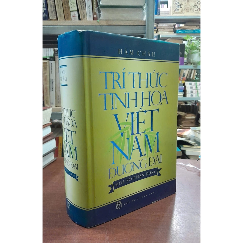 TRÍ THỨC TINH HOA VIỆT NAM ĐƯƠNG ĐẠI - HÀM CHÂU 475148